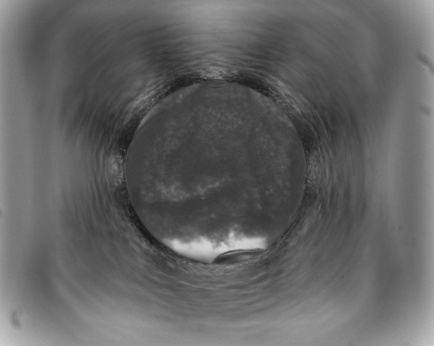 X0000096130043200802081335