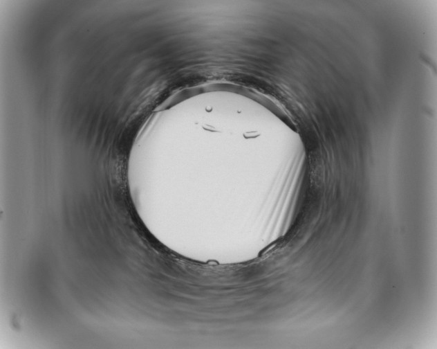 X0000096130044200802081335