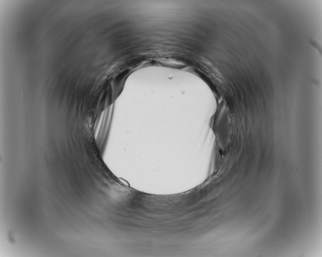 X0000096130045200802081335