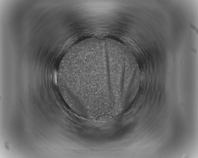X0000096130046200802081335