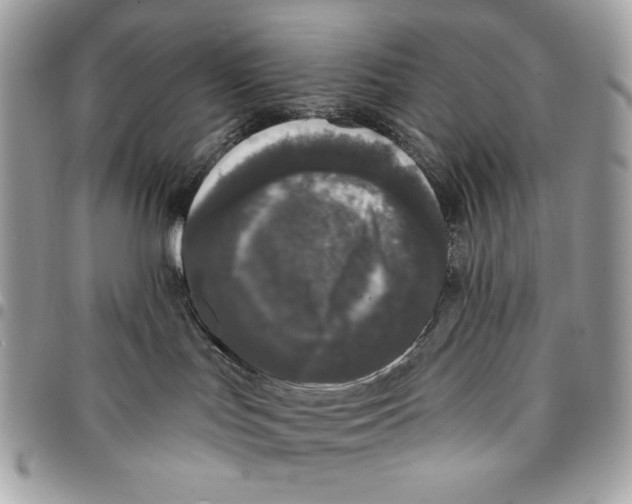 X0000096130047200802081335
