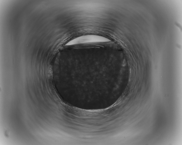 X0000096130048200802081335