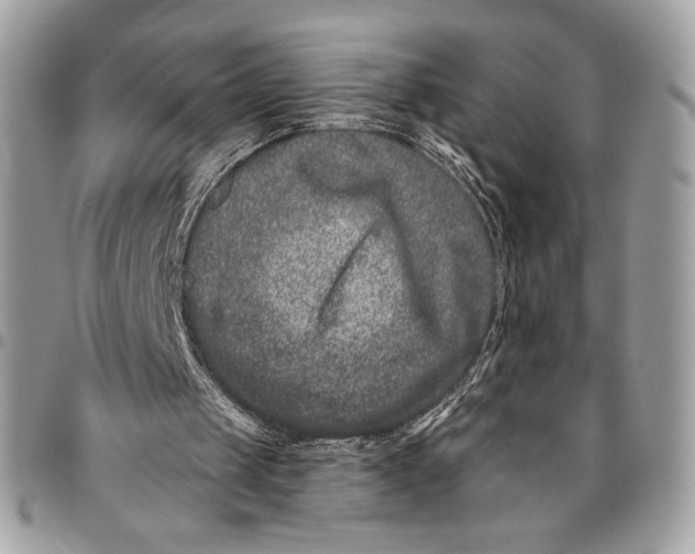 X0000096130049200802081334