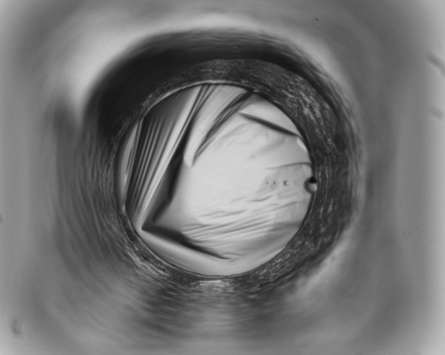X0000096130050200802081334
