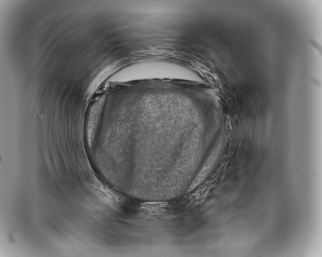 X0000096130051200802081334