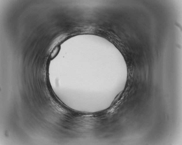 X0000096130054200802081335