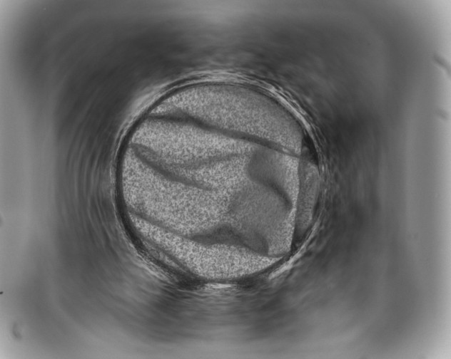 X0000096130055200802081335