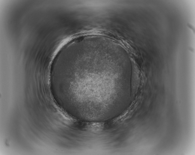 X0000096130056200802081335