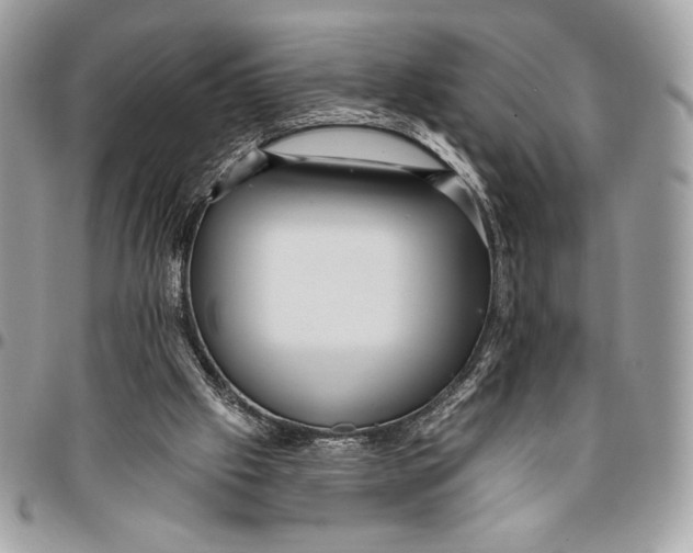 X0000096130057200802081335