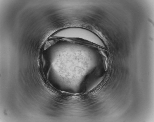 X0000096130060200802081335
