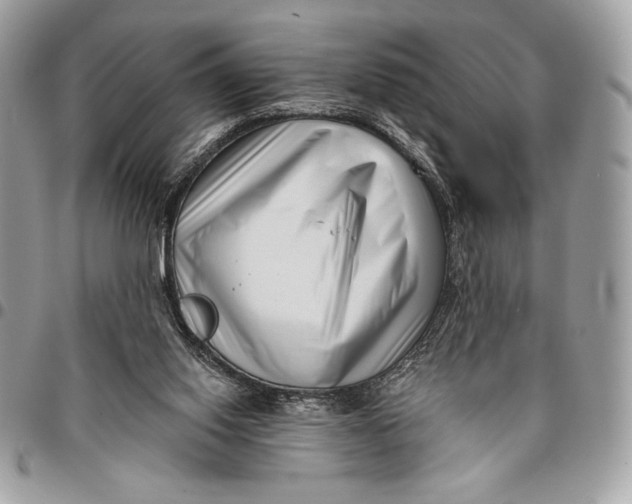 X0000096130062200802081335