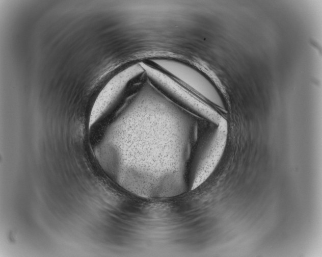 X0000096130063200802081335