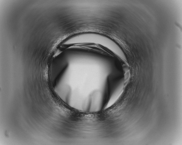 X0000096130064200802081335