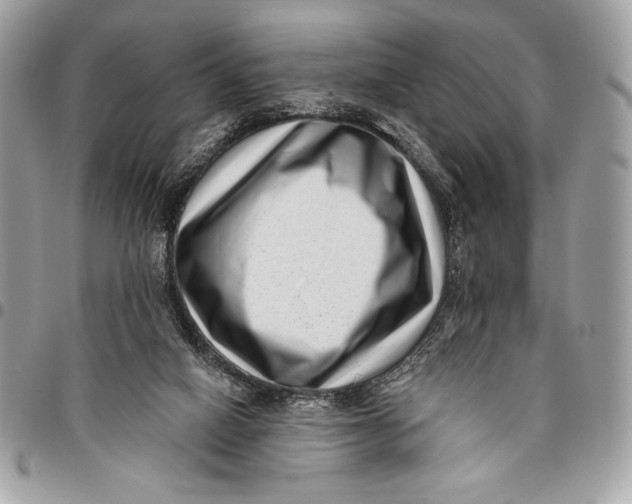 X0000096130066200802081335