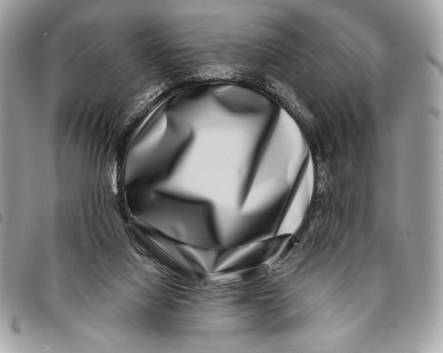 X0000096130068200802081335