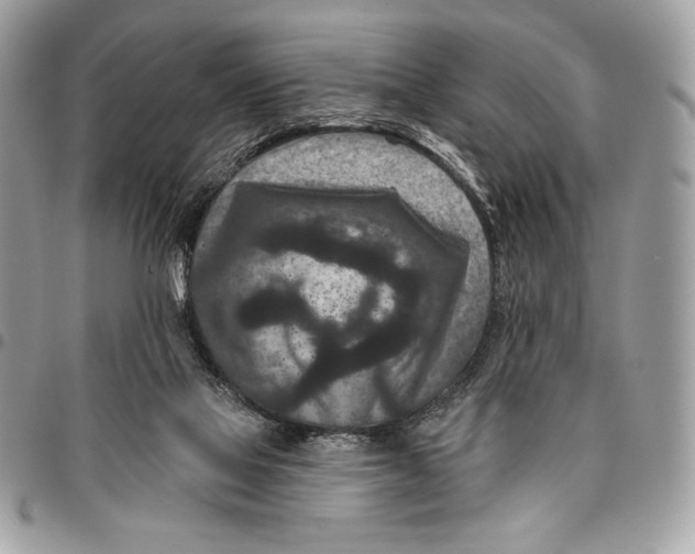X0000096130069200802081335