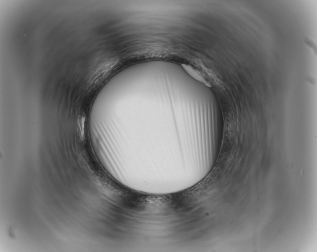 X0000096130070200802081335