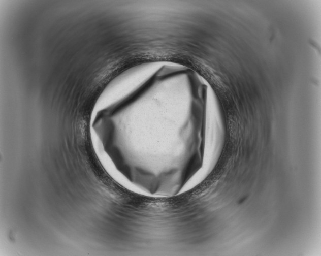 X0000096130071200802081335