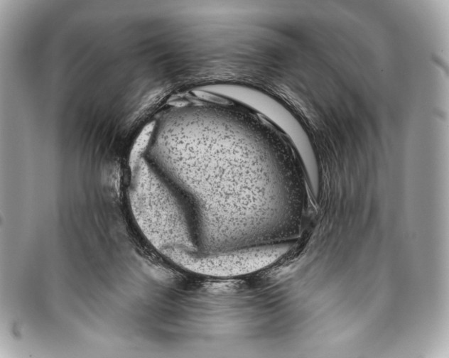 X0000096130072200802081335