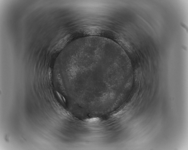 X0000096130073200802081335