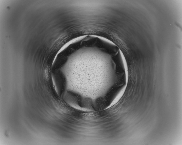 X0000096130074200802081335