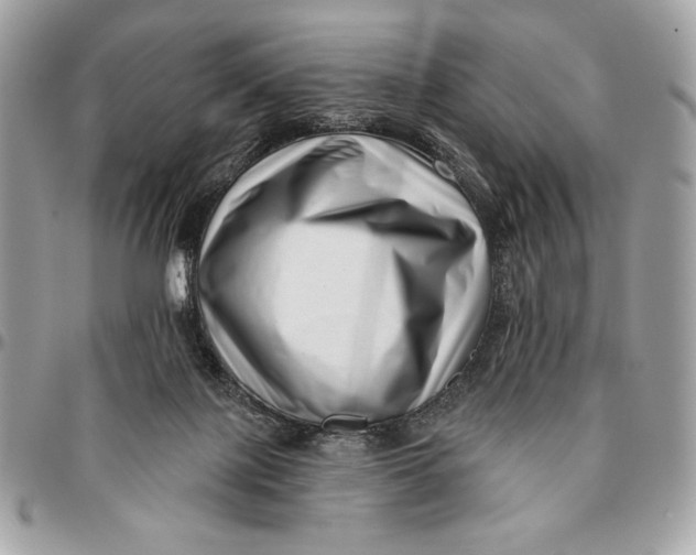 X0000096130075200802081335