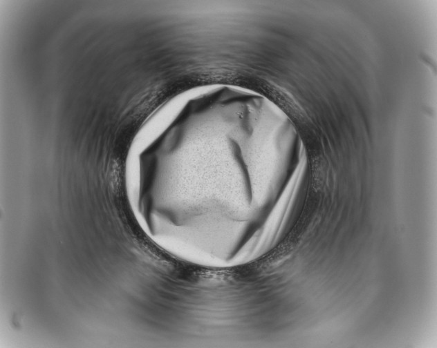 X0000096130077200802081335