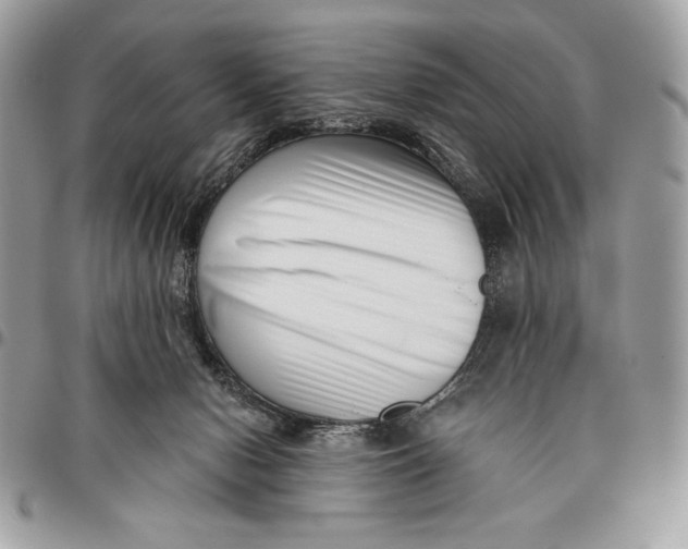 X0000096130078200802081335