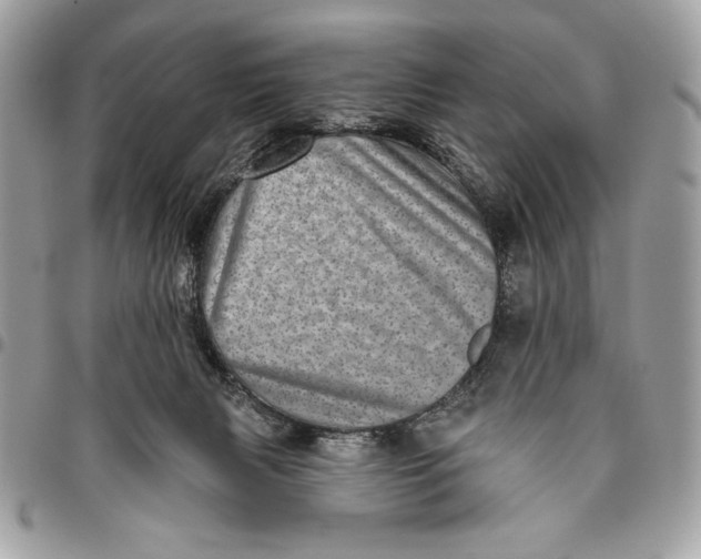 X0000096130079200802081335