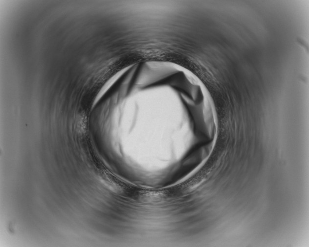X0000096130081200802081335