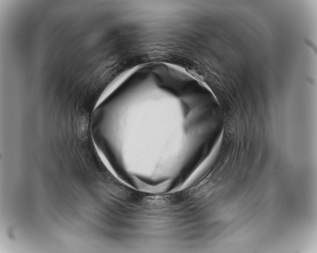 X0000096130082200802081335