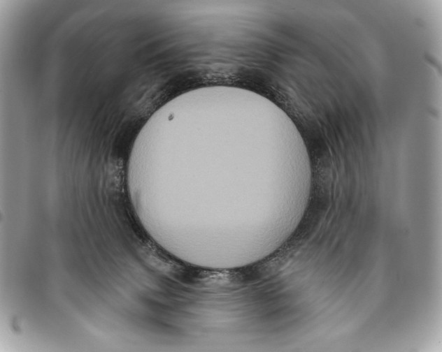 X0000096130083200802081335