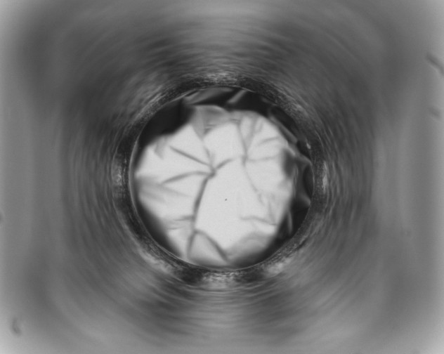 X0000096130084200802081335