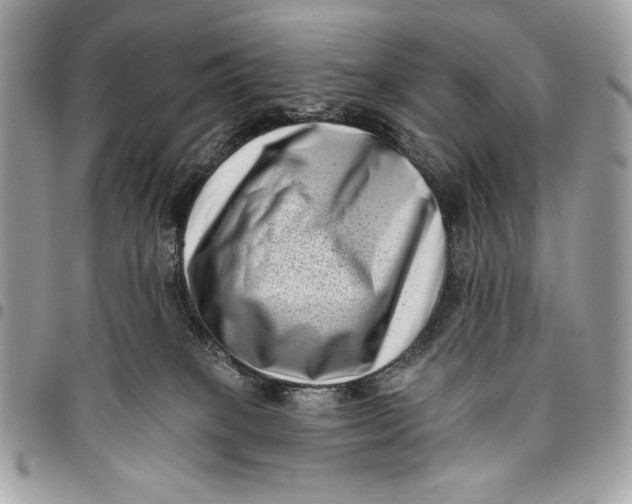 X0000096130085200802081335