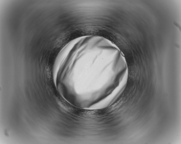 X0000096130086200802081335