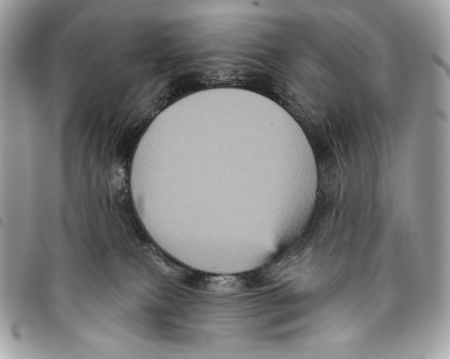 X0000096130087200802081335