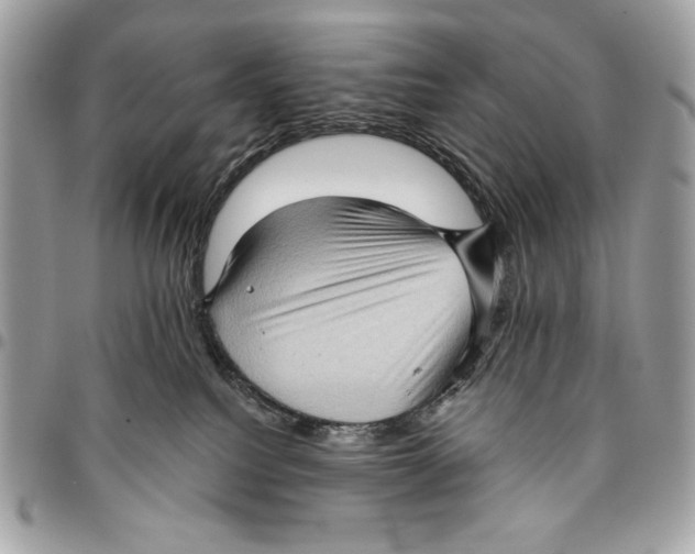 X0000096130088200802081335