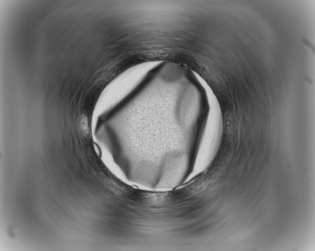 X0000096130089200802081335