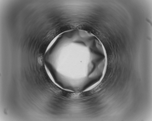 X0000096130090200802081335