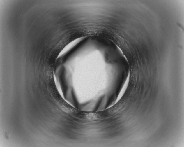 X0000096130091200802081335