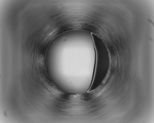 X0000096130092200802081335