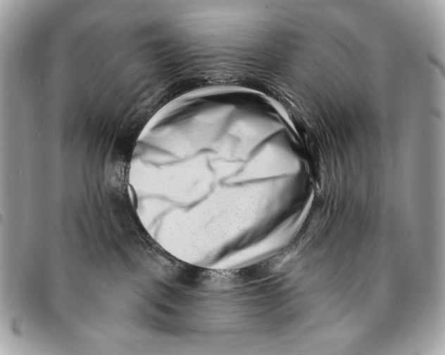 X0000096130093200802081335