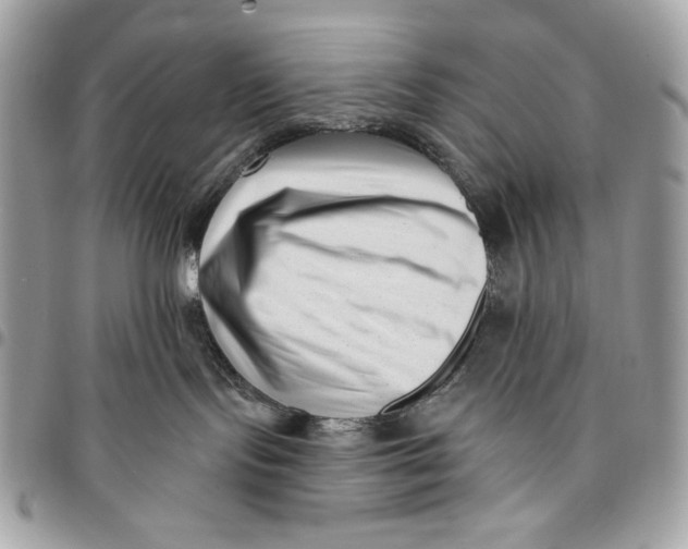 X0000096130095200802081335