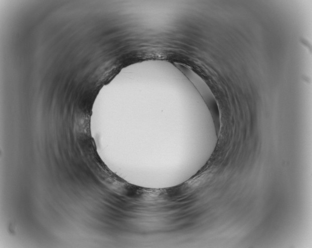 X0000096130096200802081335