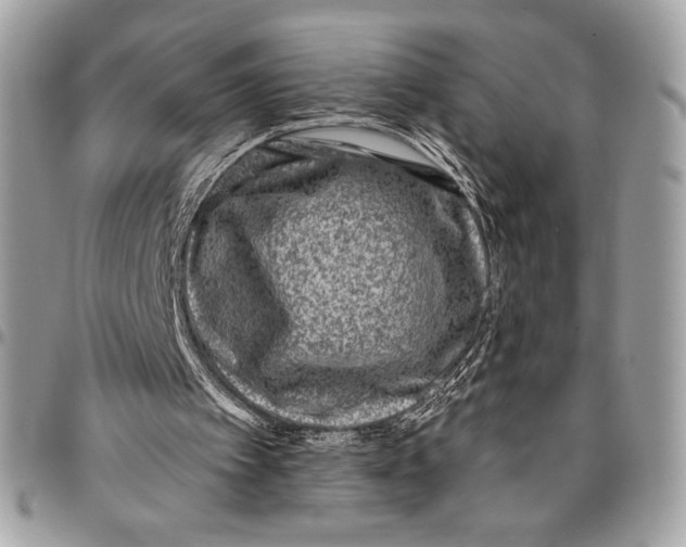 X0000096130097200802081334