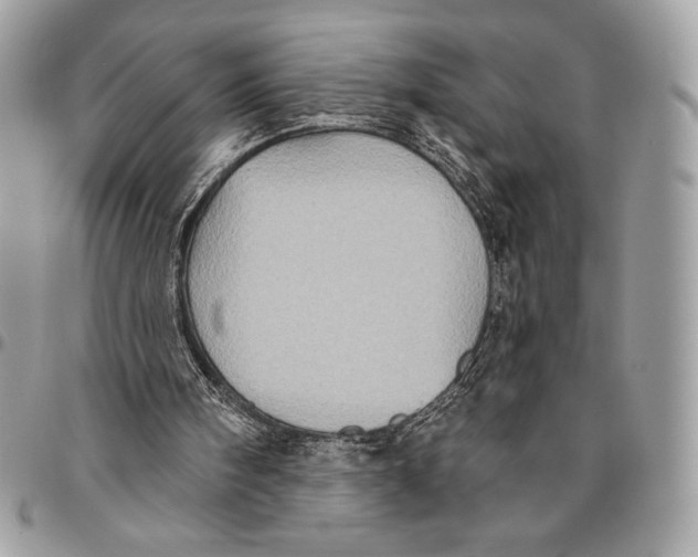 X0000096130098200802081334