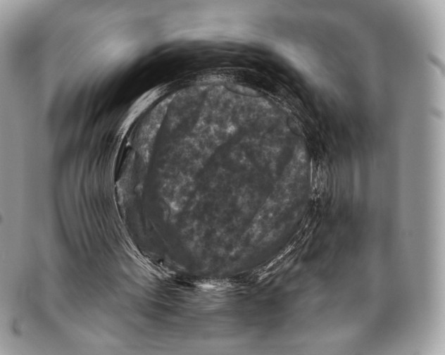 X0000096130099200802081334