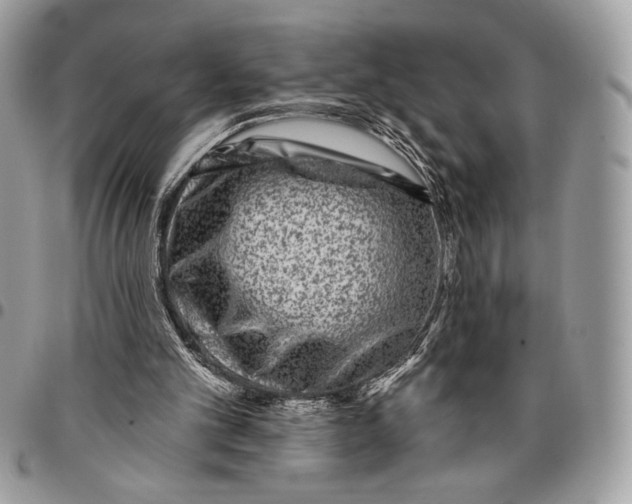 X0000096130101200802081334