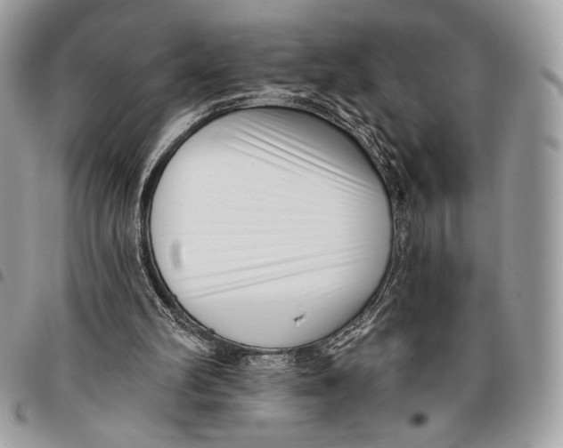 X0000096130102200802081334