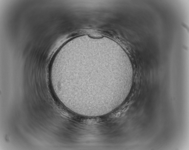 X0000096130103200802081334